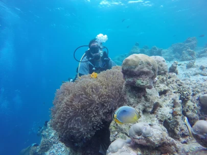 One Day Unlimited (Three Dives) - Own equipment