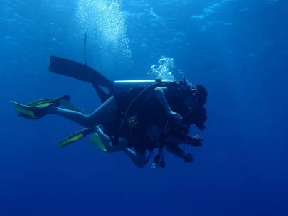 One Day Unlimited (Three Dives) - With Equipment