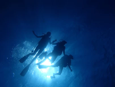 One Dive - With equipment