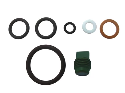 Standard PRO Valve Rebuild Kit